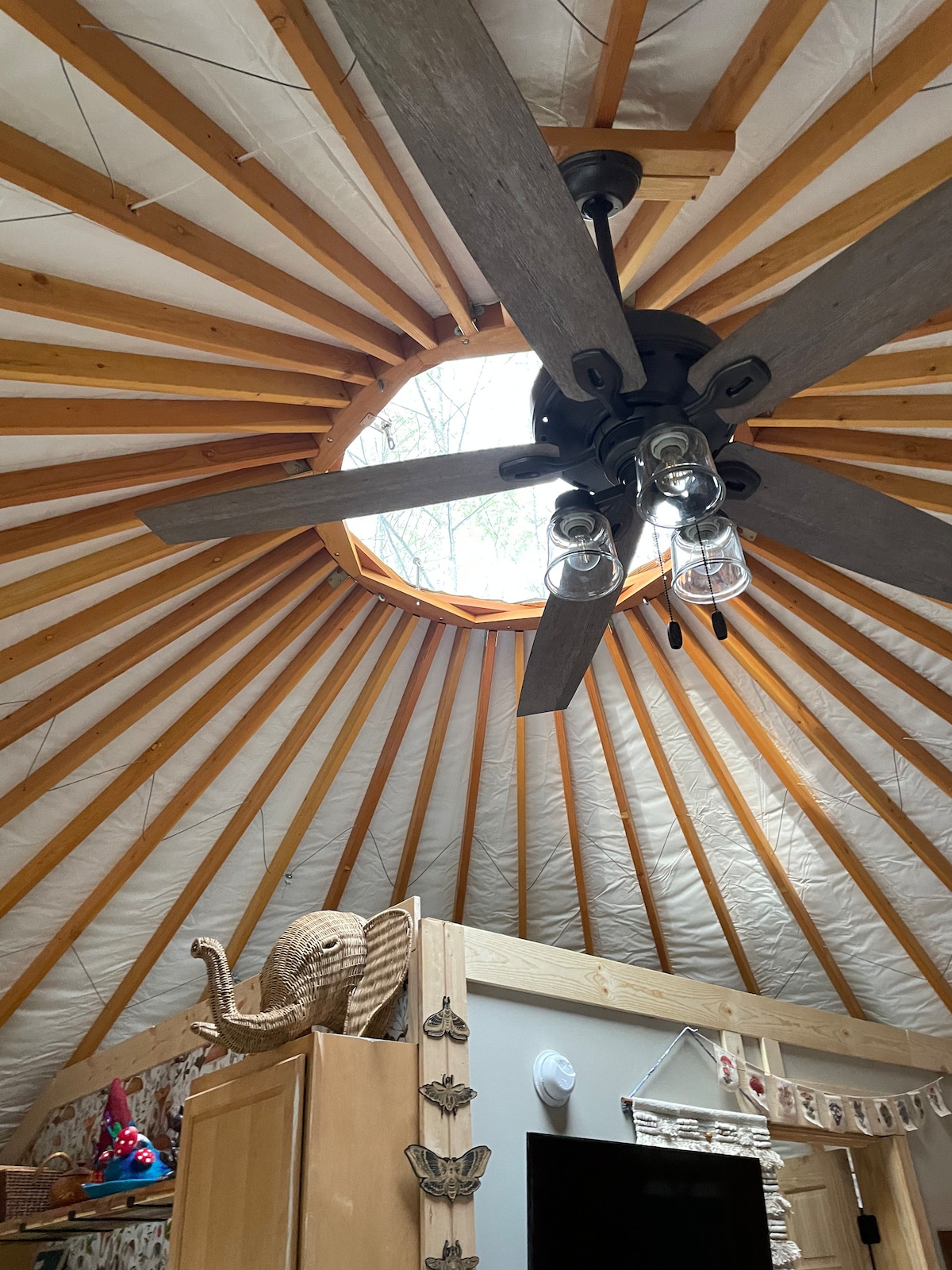 The interior of the yurt showcases a circular wooden ceiling with exposed beams and a skylight that allows natural light to enter. A ceiling fan with glass fixtures hangs centrally, complementing the cozy atmosphere. Nearby decorations include an elephant figurine and wall decor.