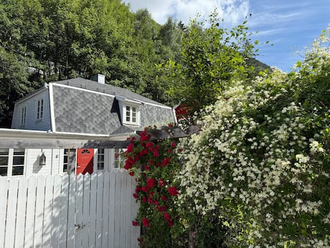 Villa for eight, with parking, patio in the garden