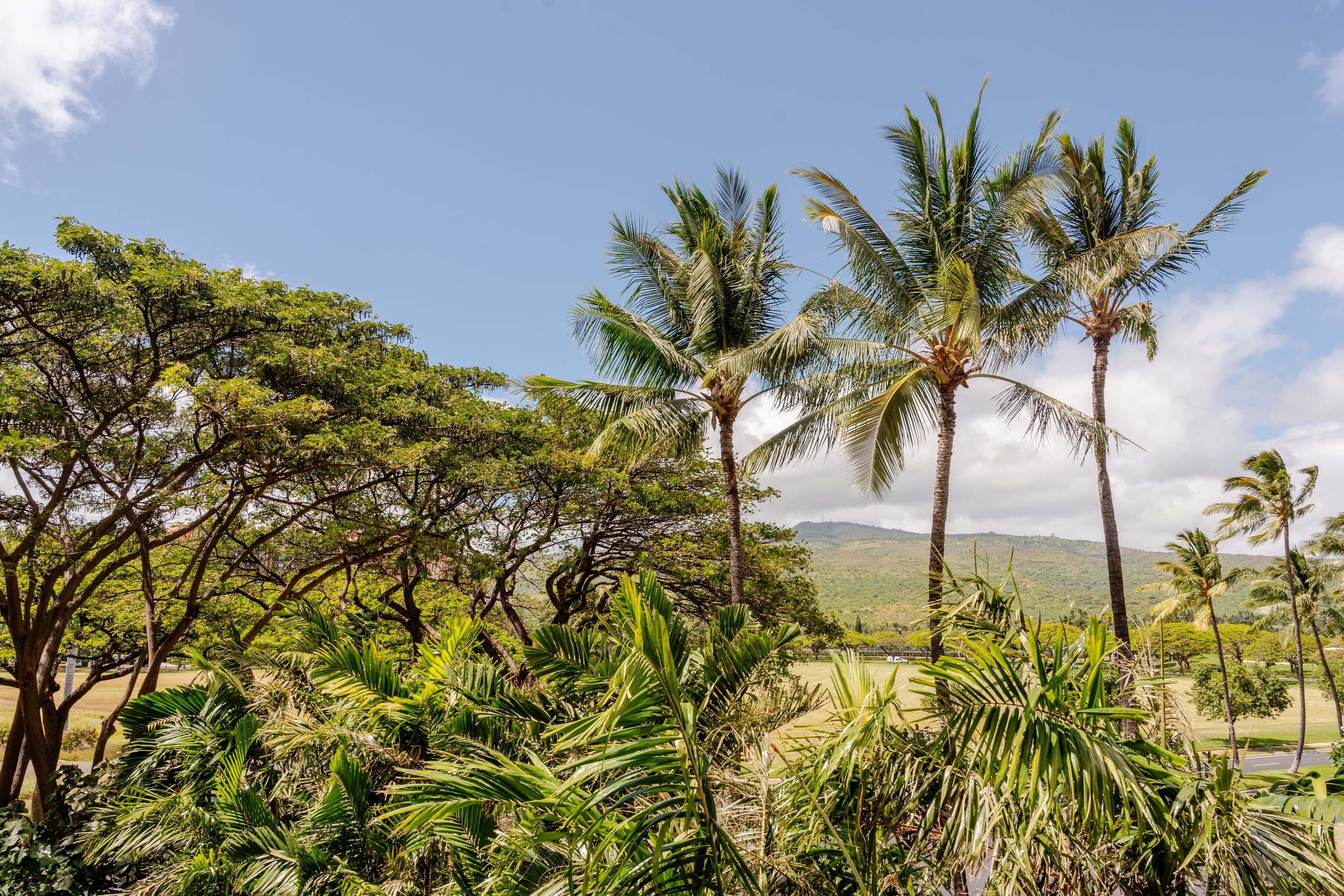 Condo in Kapolei · ★4.85 · 2 bedrooms · 4 beds · 2 private baths - Image 47