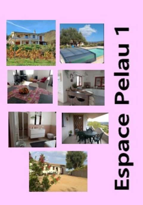 Pelau Residence, Space 1, prox Cardedu, F4