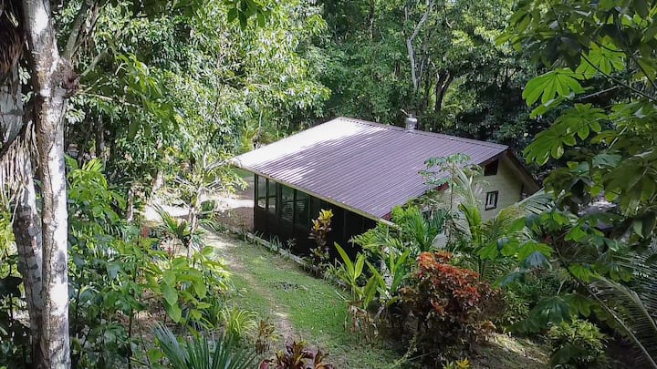 Three Forest Cabins-9 Persons*7 Beds & Restaurant - Belize