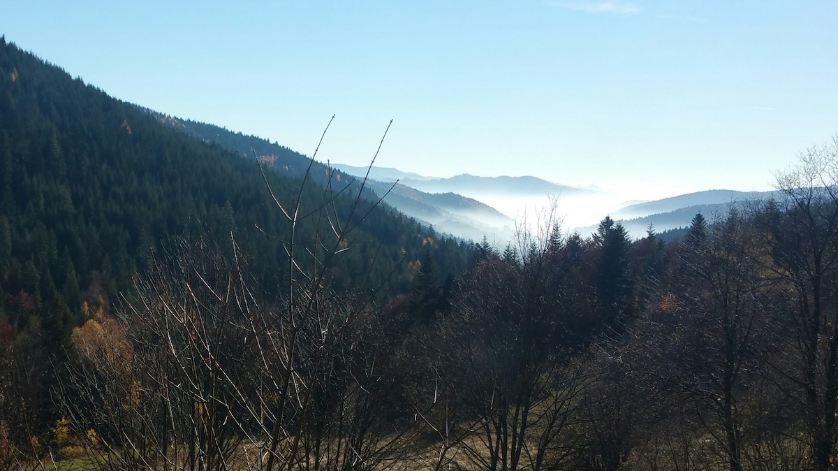 A panoramic view showcases rolling mountains, shrouded in a soft mist that extends into the distance. Trees with bare branches are visible in the foreground, while vibrant autumn foliage adds subtle color against the serene backdrop of blue skies.