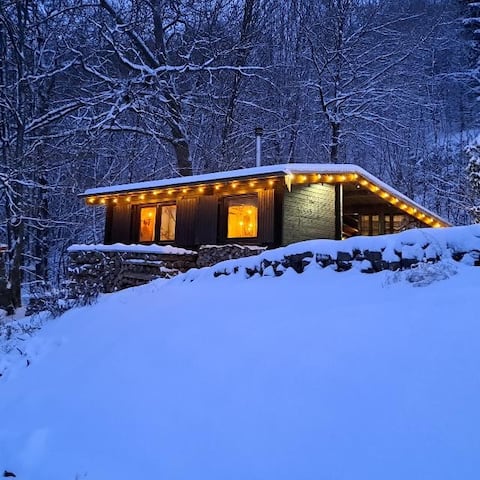 Forest hut by the lake - glamping