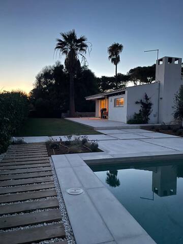 Bini Paca gallery image 4