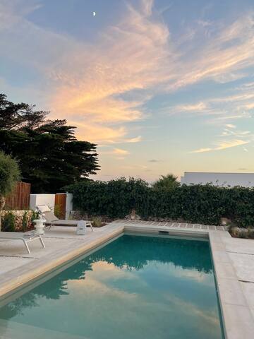 Bini Paca gallery image 2