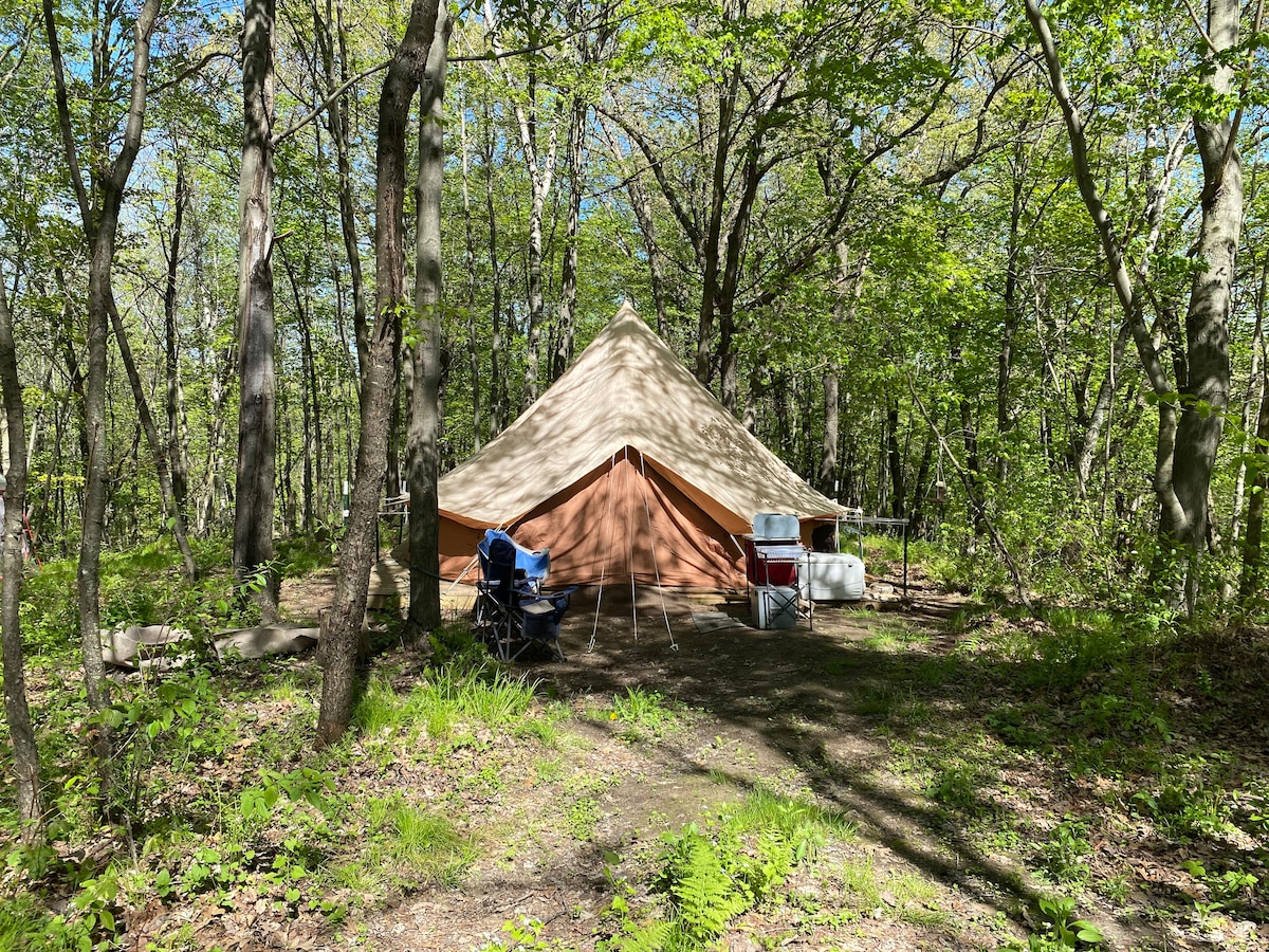 A spacious bell tent is nestled among lush greenery and trees, providing a rustic camping experience. Folding chairs are positioned in front of the tent, while coolers are nearby. Sunlight filters through the leaves, creating a peaceful atmosphere at the campsite.