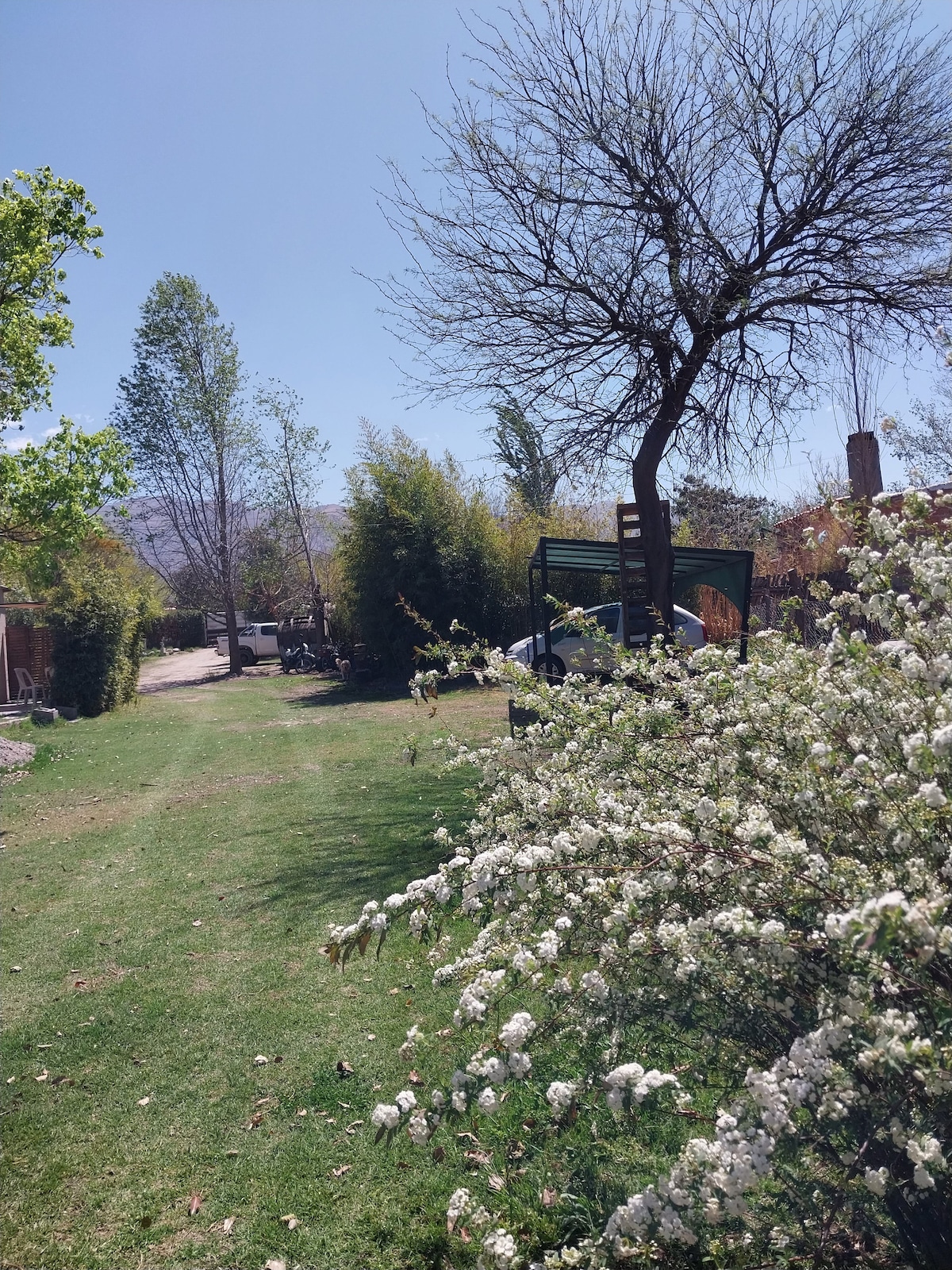 A serene outdoor area features a well-maintained lawn adorned with blooming white flowers. Tall trees provide shade, with a gravel path leading into the distance. A swing set can be seen in the background, contributing to the tranquil atmosphere.