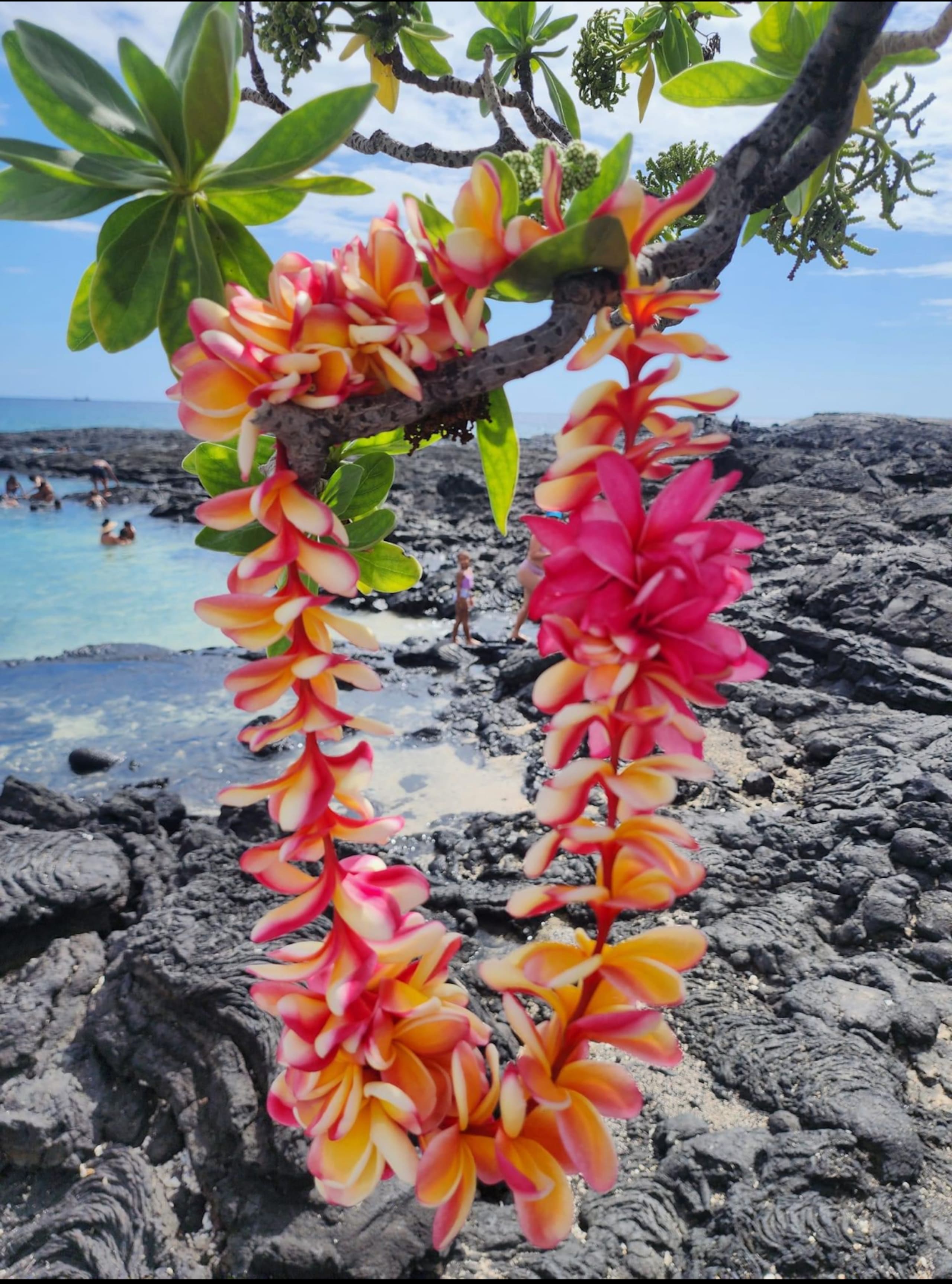 Kona Suite | Pool, Beach Gear & Aloha Hospitality - Photo 15