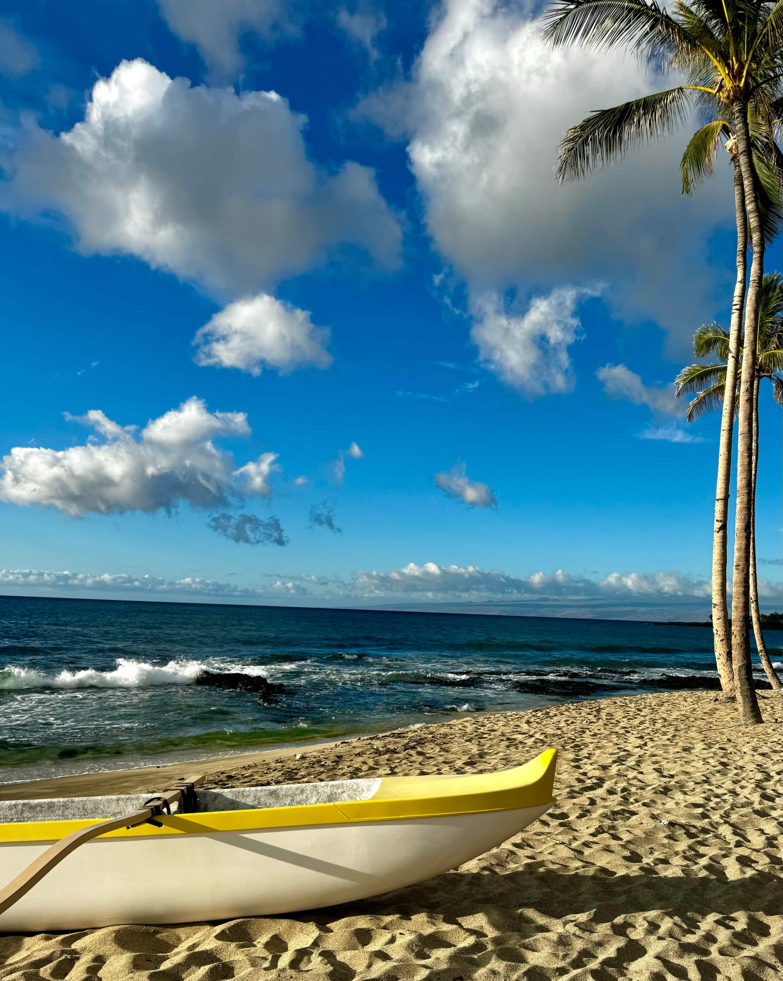 Kona Suite | Pool, Beach Gear & Aloha Hospitality - Photo 29