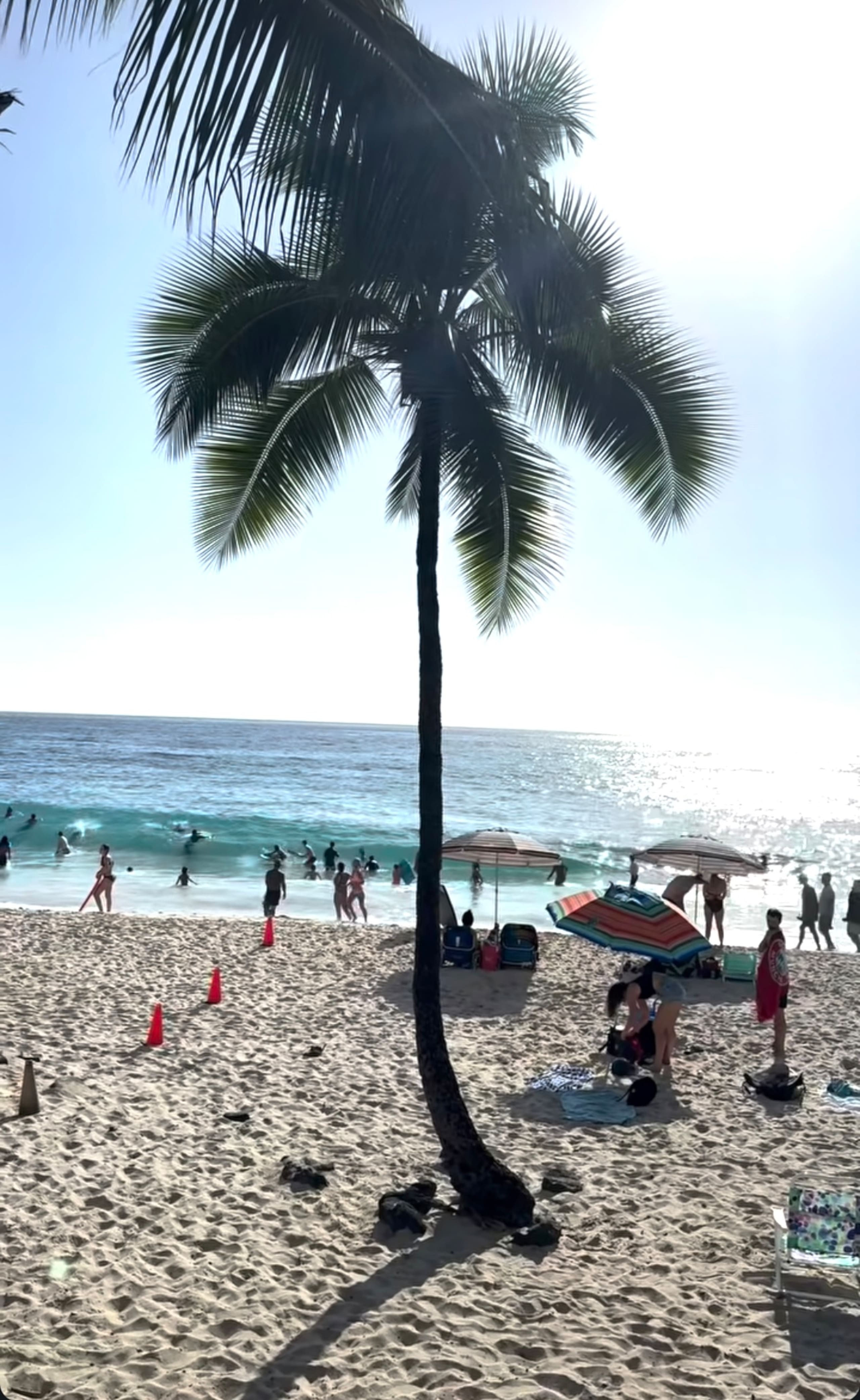 Kona Suite | Pool, Beach Gear & Aloha Hospitality - Photo 35