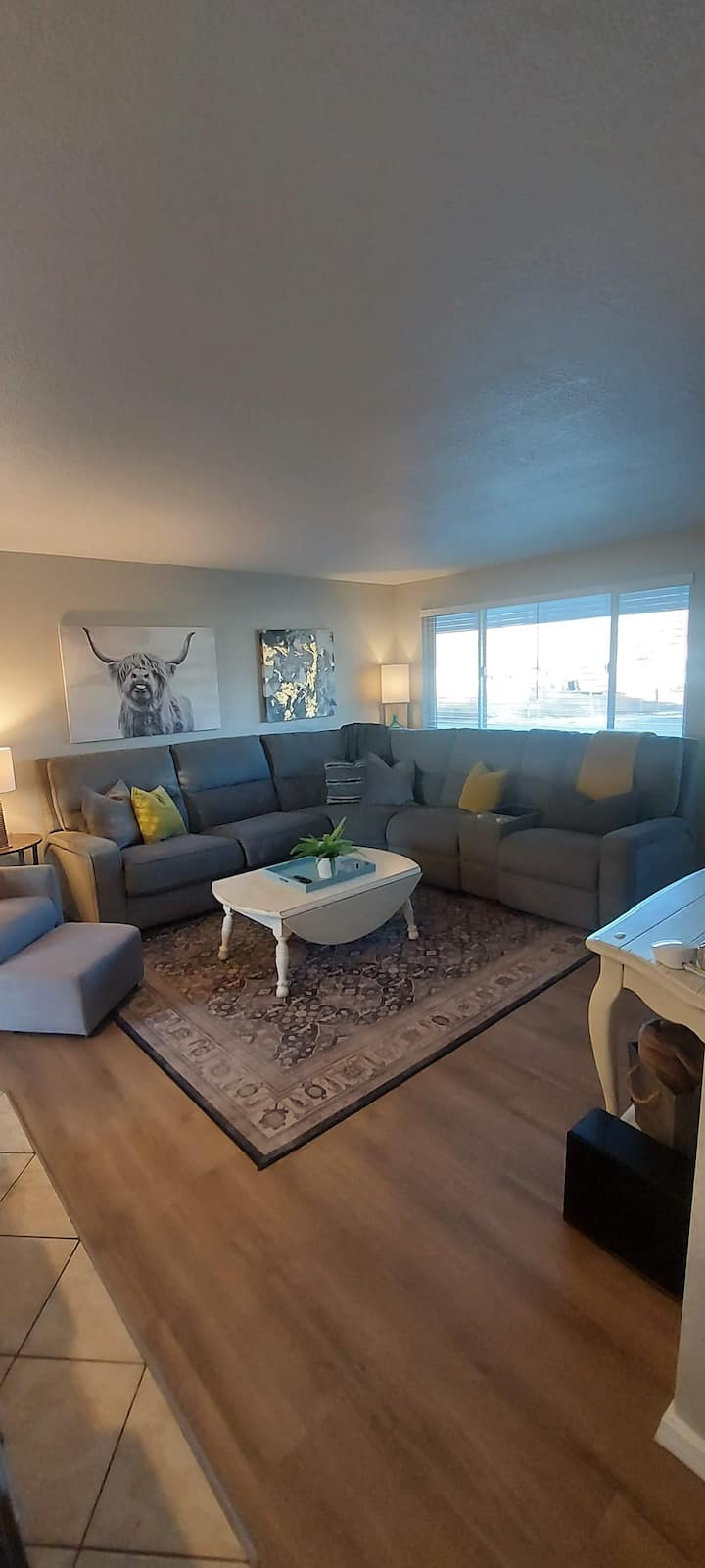 Living room couch/sleeper sofa