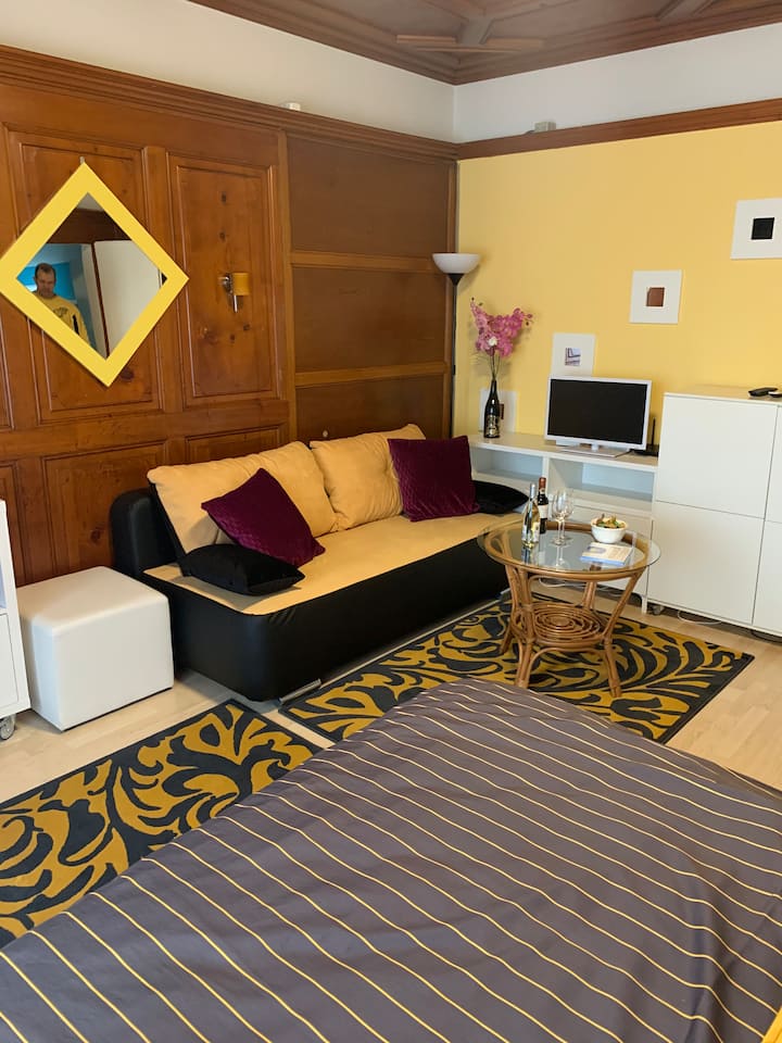 Beautiful, Big 1.5-room Apartment (50 Sq M) - Soleura
