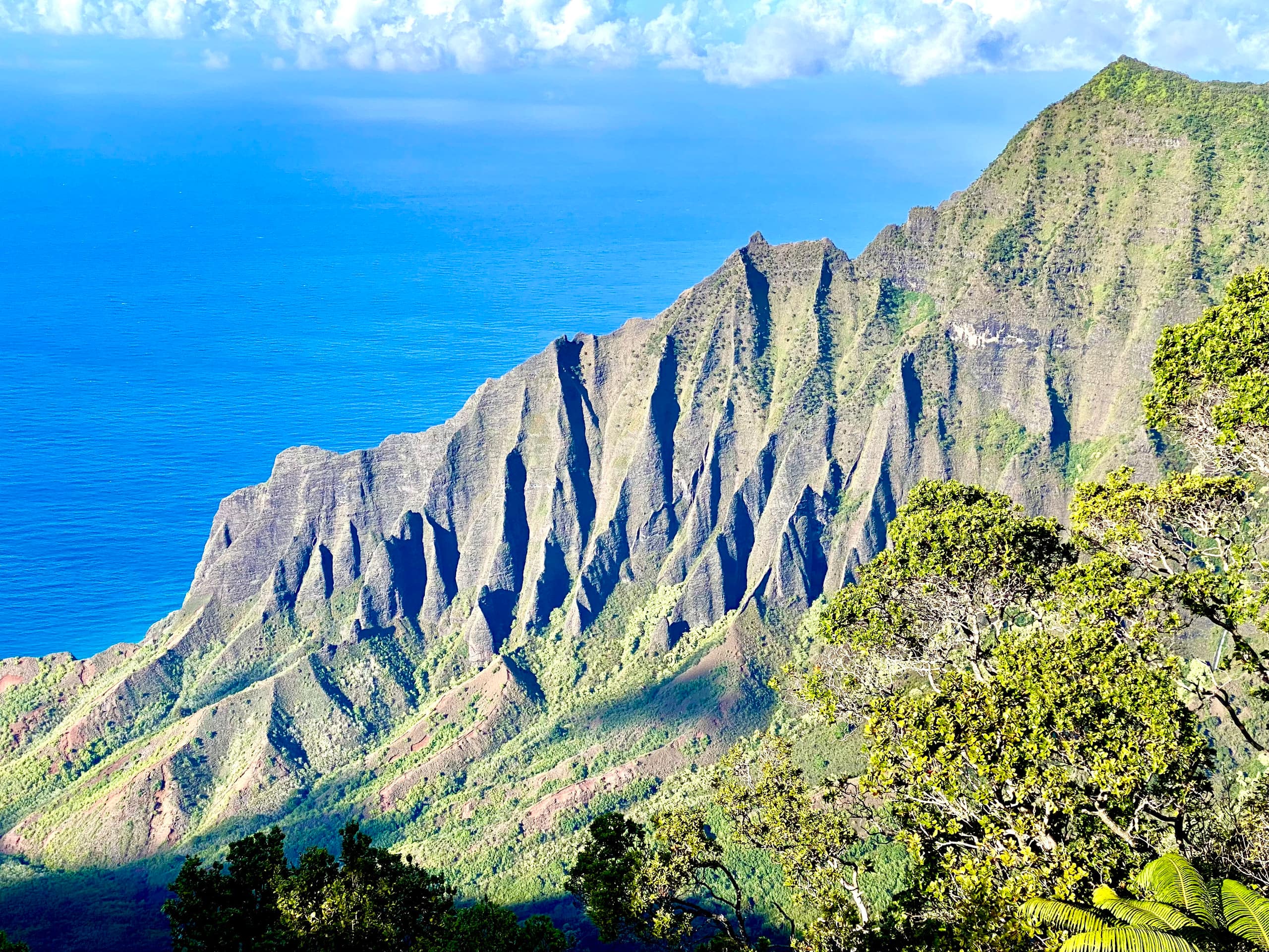 Home in Princeville · ★4.98 · 3 bedrooms · 3 beds · 2 baths - Image 38