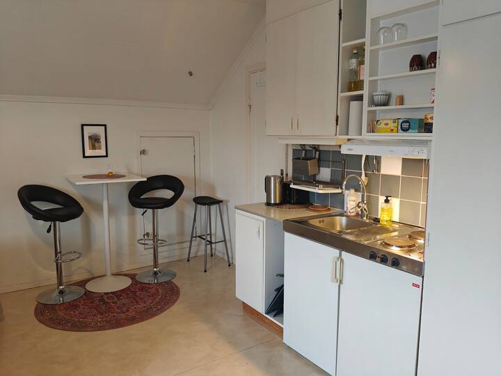 Anna Josefinas Stay-mysig Vindsvit Centralt - Umeå