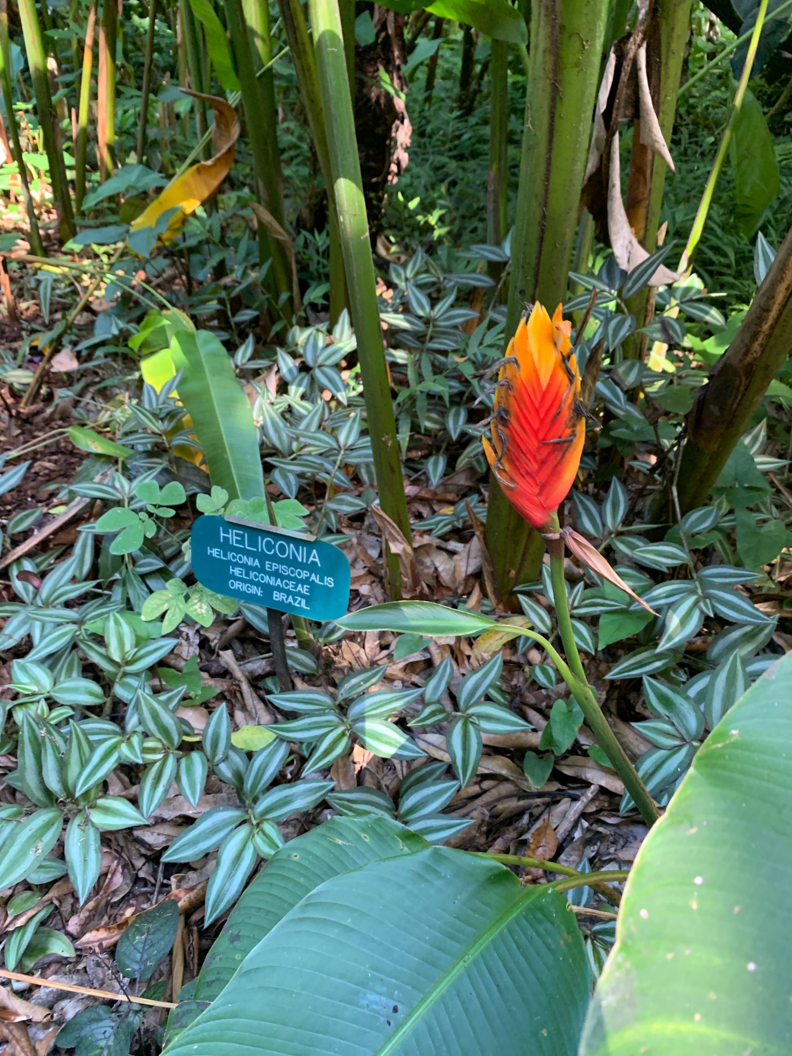 Condo in Kailua-Kona · ★4.83 · 1 bedroom · 3 beds · 2 shared baths - Image 47