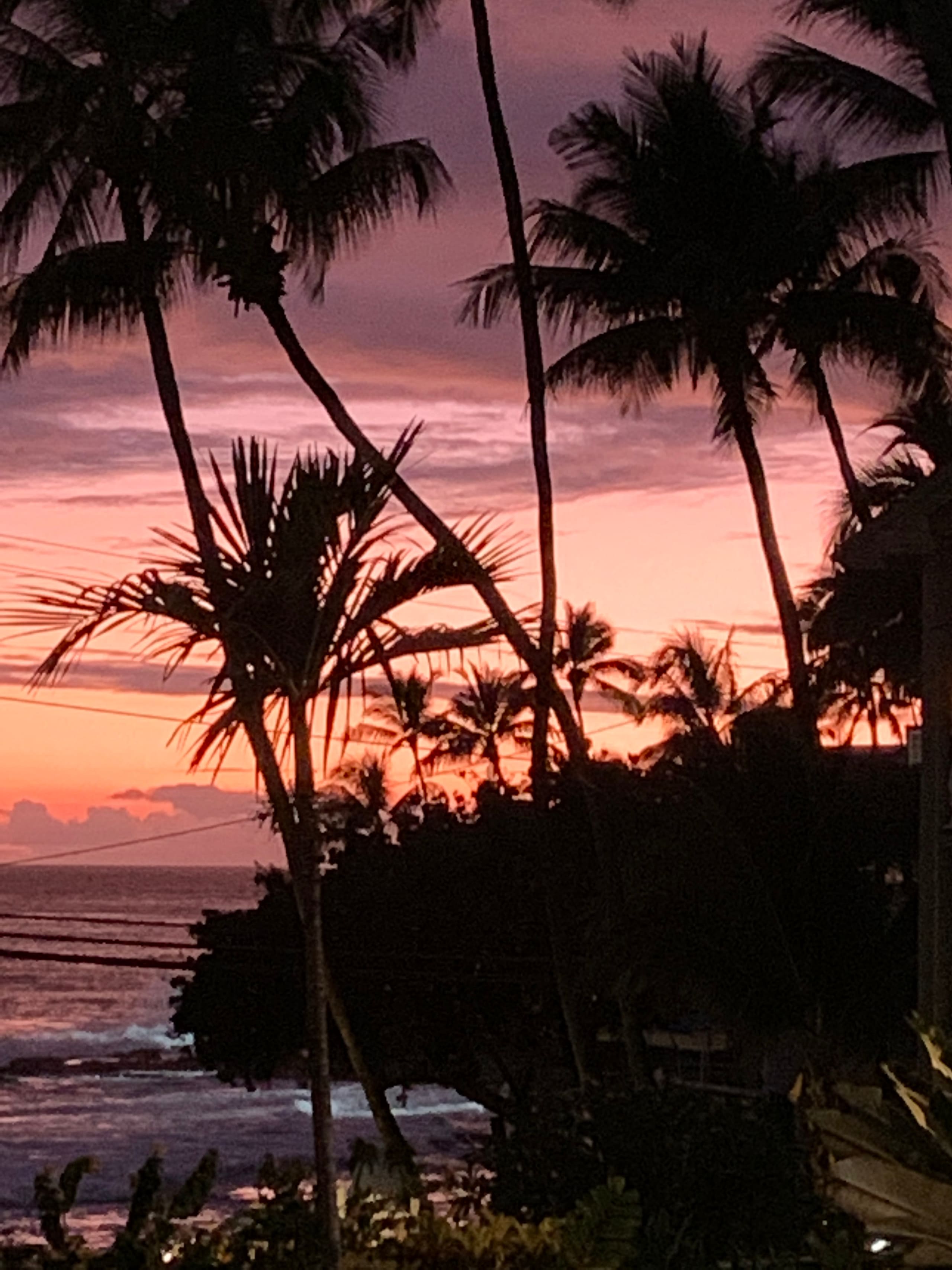 Condo in Kailua-Kona · ★4.83 · 1 bedroom · 3 beds · 2 shared baths - Image 31