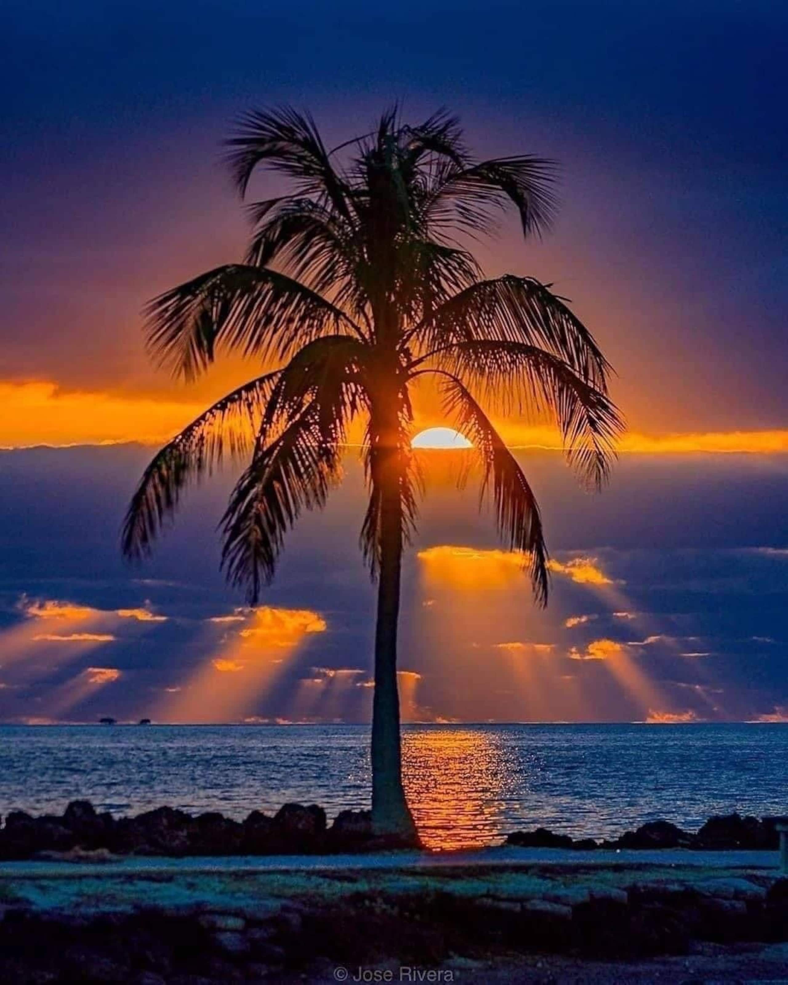 Condo in Kailua-Kona · ★4.83 · 1 bedroom · 3 beds · 2 shared baths - Image 28