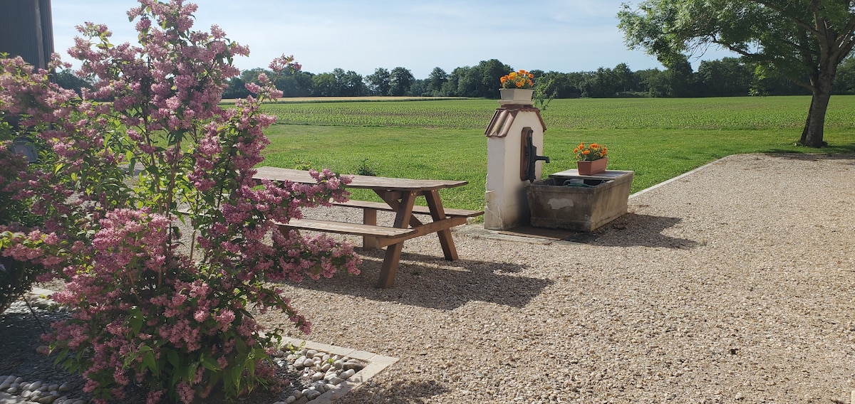 A gravel area is seen, featuring a wooden picnic table on one side and a decorative stone well with planters. Floral blooms in pink surround the scene, with expansive green fields visible in the background under a clear sky.