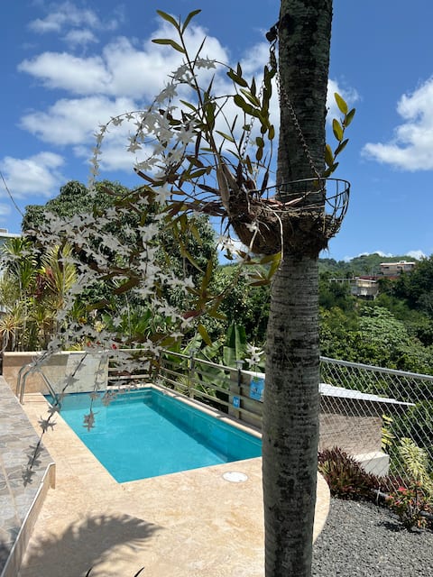Private Pool>Luxury home>Ocean View