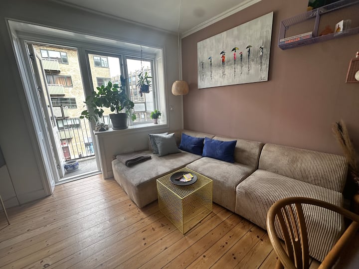 Cozy, Homely Apartment In The Center Of Copenhagen - Copenhague