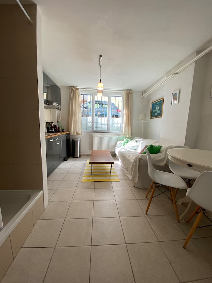 Cosy 30m2 Studio In St Gilles Family House - Jette