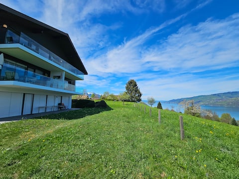 Panoramic views of Lake Thun and the mountains