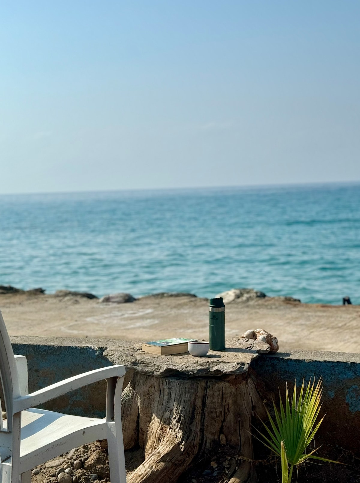 A wooden table made from a tree stump is positioned by the water's edge, featuring a green thermos, a small bowl, and a book. A white chair accompanies the setup, with a clear view of the calm sea and distant horizon under a bright sky.