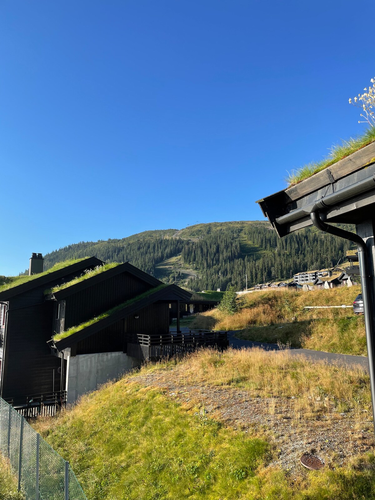 A modern building features a grass-covered roof, nestled among rolling green hills and tall pine trees. The blue sky provides a clear backdrop, highlighting the natural surroundings. A gravel path leads towards the structure, enhancing the serene mountain atmosphere.