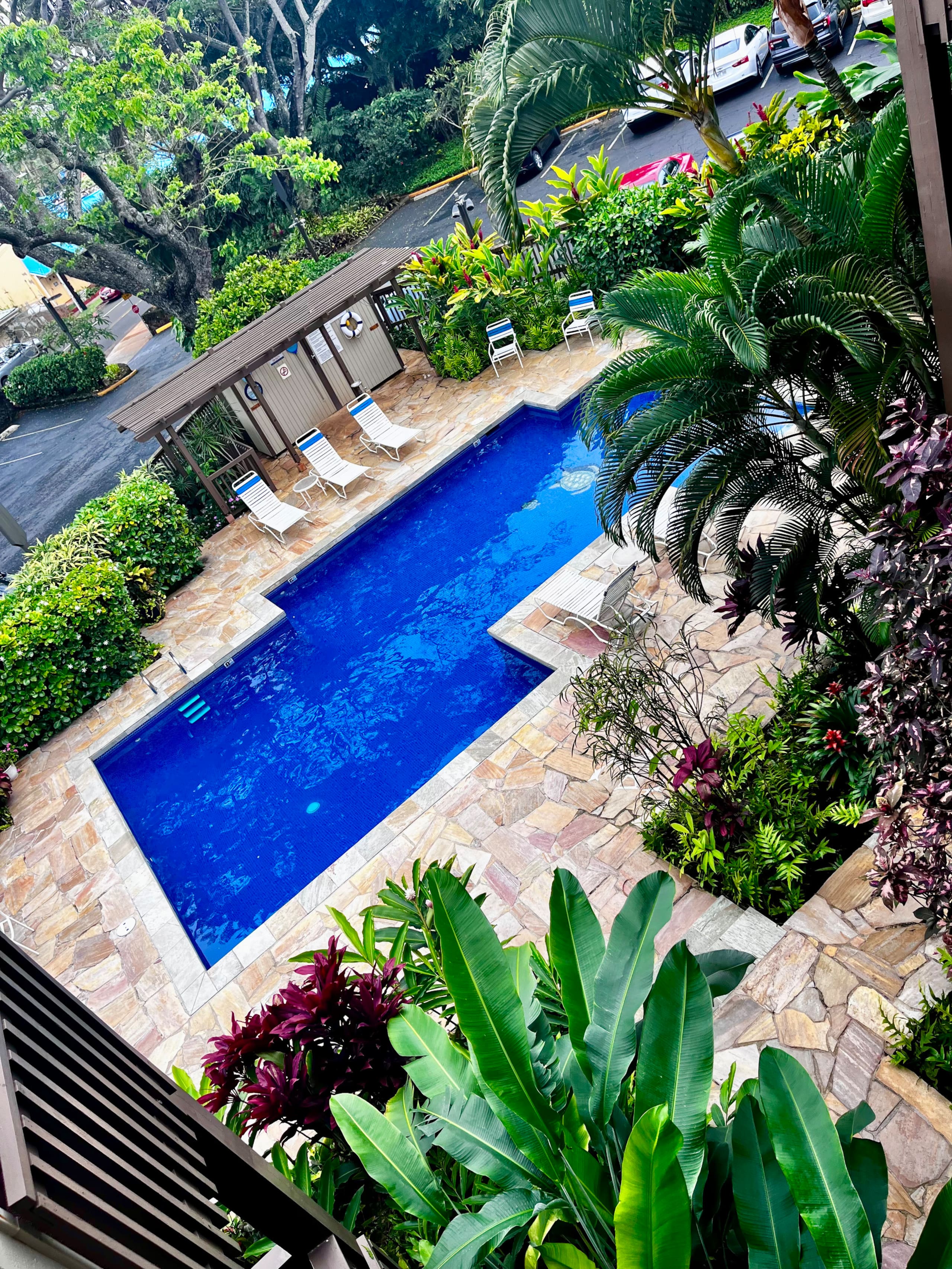 Condo in Kapaa · ★4.92 · 1 bedroom · 1 bed · 1 bath - Photo 18