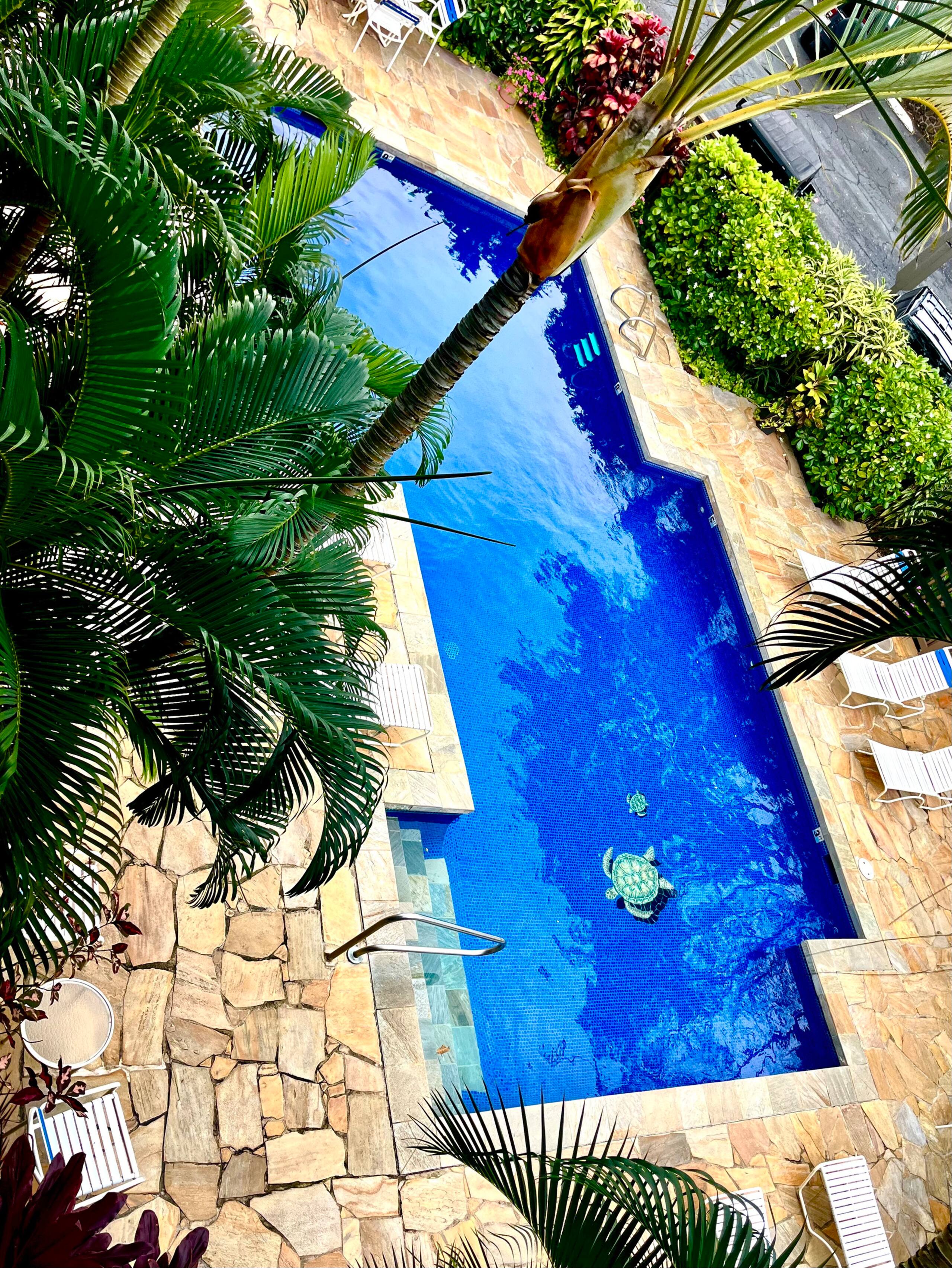 Condo in Kapaa · ★4.92 · 1 bedroom · 1 bed · 1 bath - Photo 16