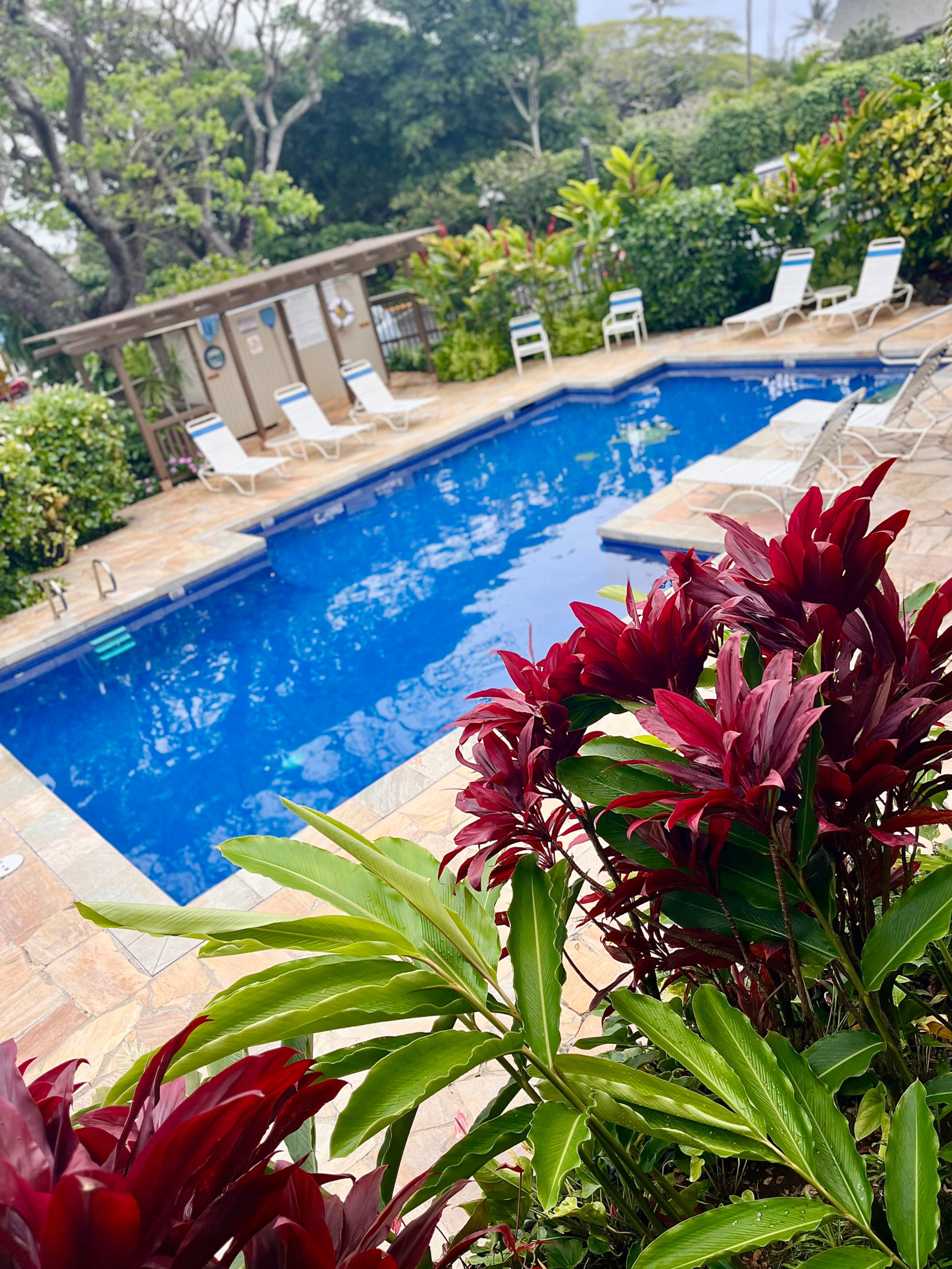 Condo in Kapaa · ★4.92 · 1 bedroom · 1 bed · 1 bath - Photo 17