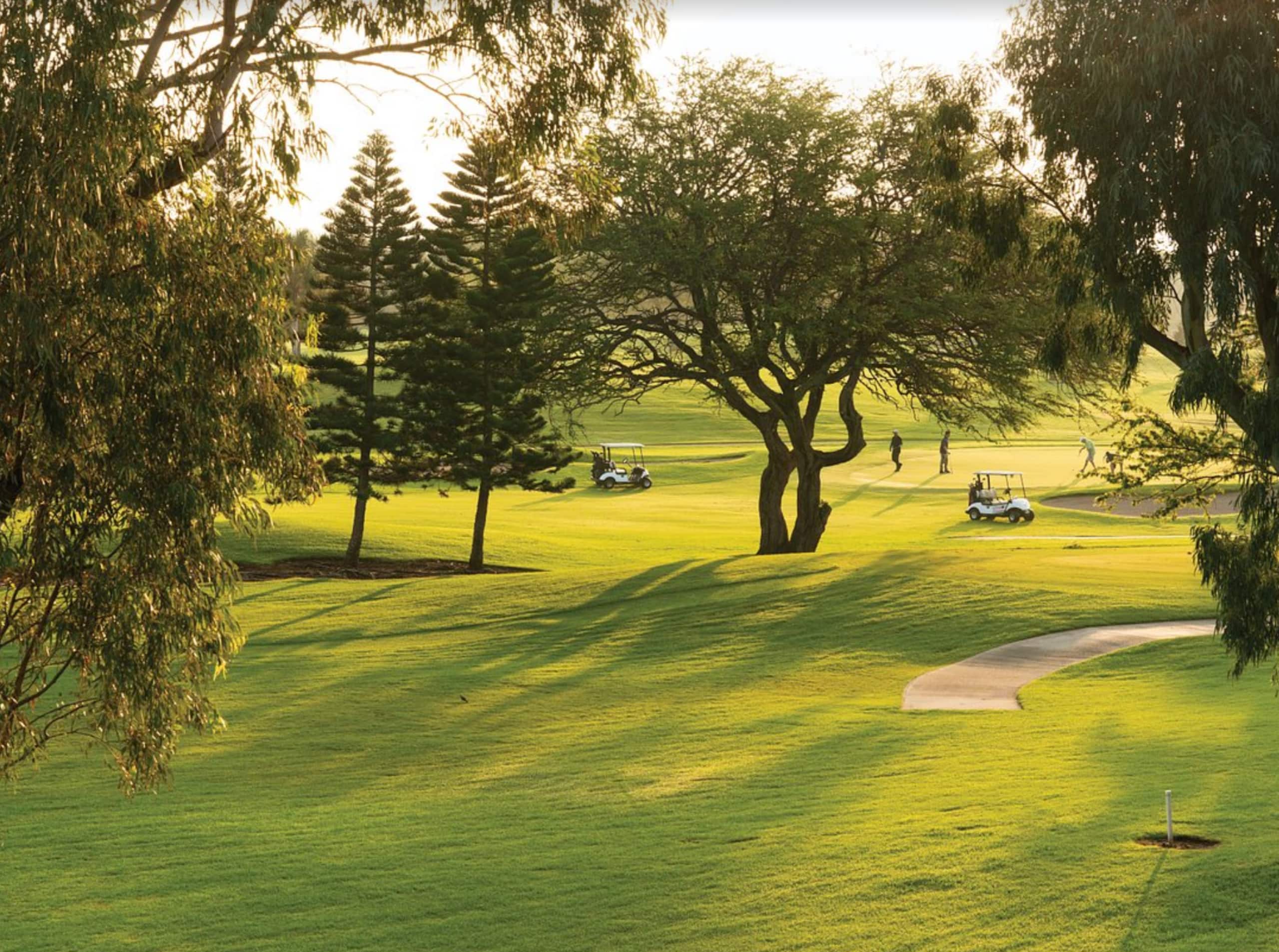 Paniolo Greens-Waikoloa, Hawaii- 2Bd Suite - Photo 12