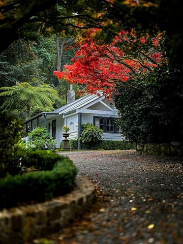 Dingleigh of Sassafras – Reader’s Cottage