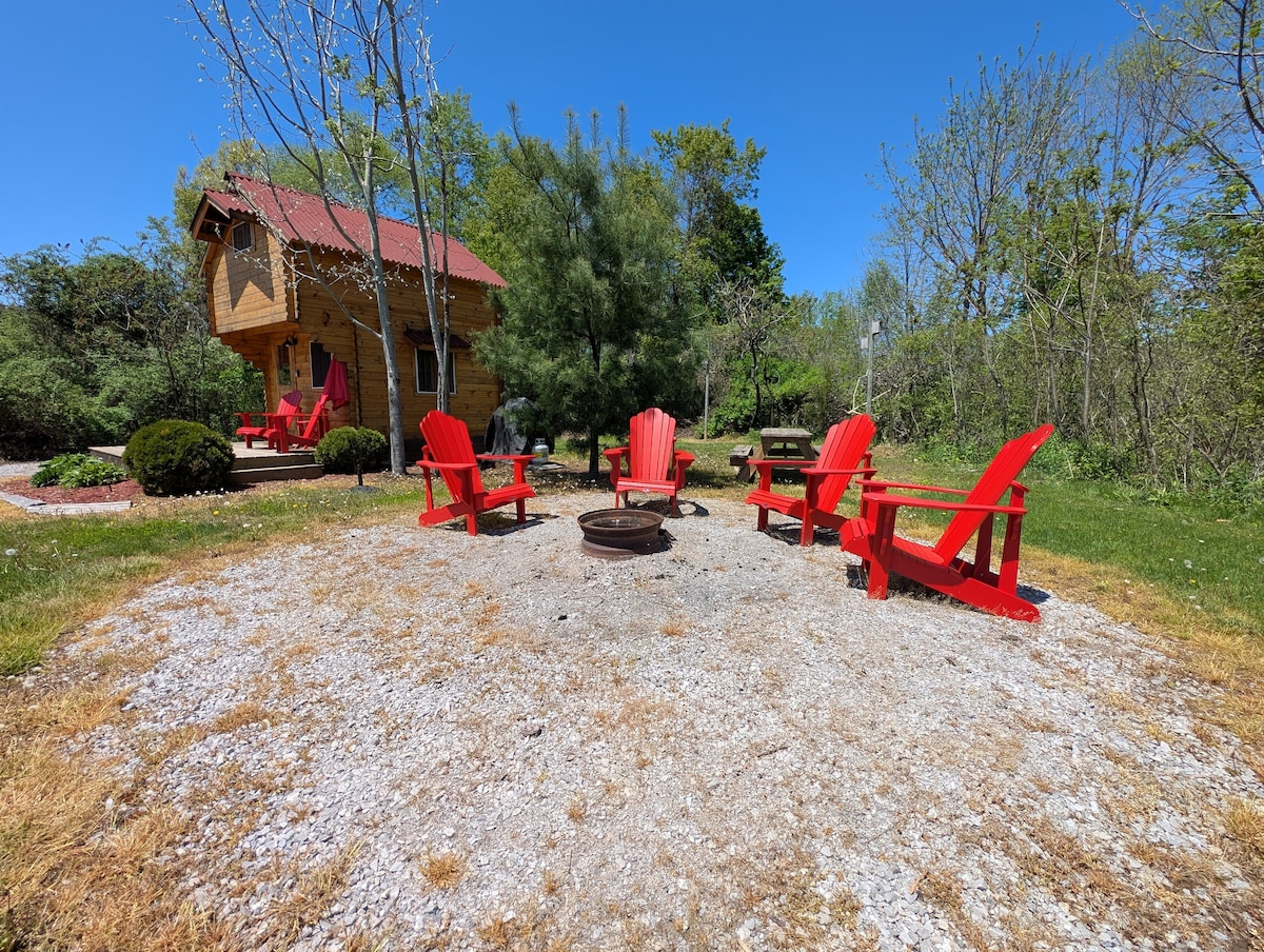 A circular arrangement of red Muskoka chairs surrounds a gravel area with a fire pit, creating a welcoming outdoor space. In the background, a wooden cabin is visible, nestled among greenery and trees under a clear blue sky.