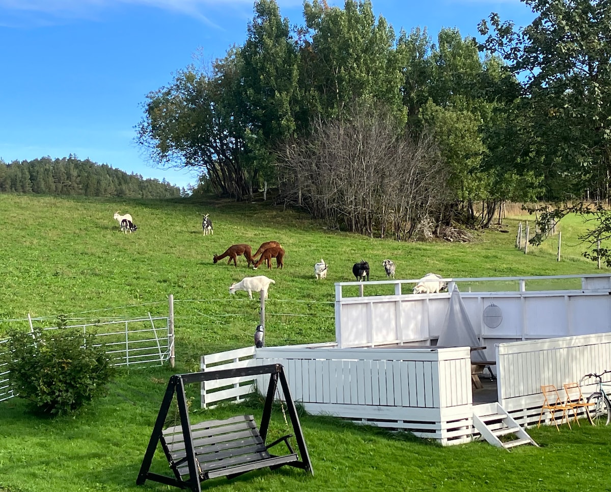 A green hillside is depicted, with various animals grazing. Ponies, goats, and chickens can be seen among trees in the background. In the foreground, a wooden swing is positioned beside a white fence, offering a welcoming outdoor space for guests.