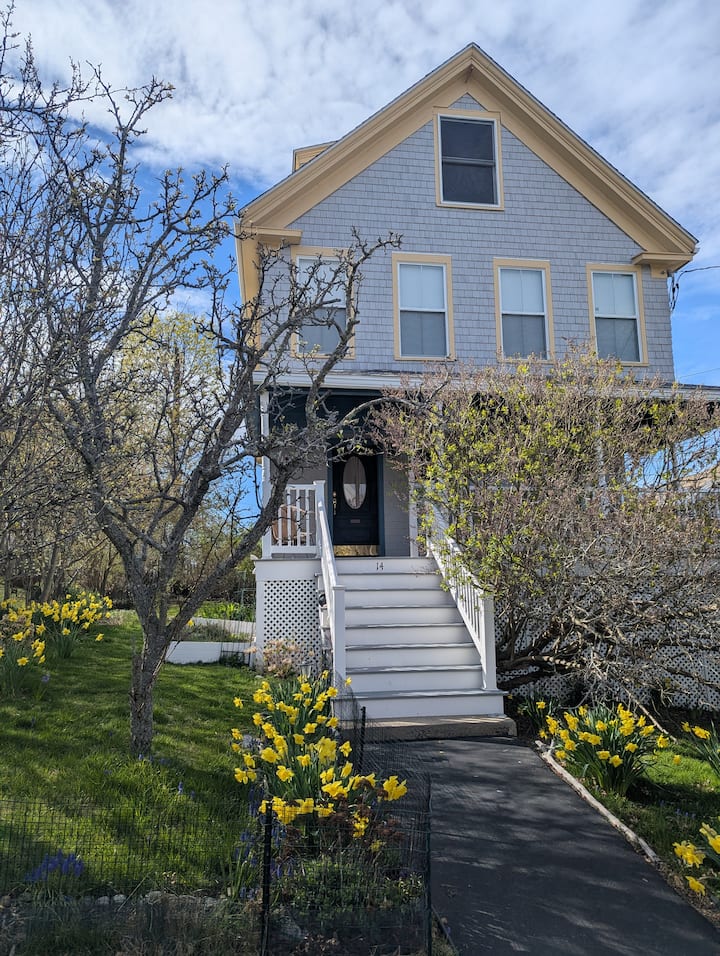 Ocean View Home  W/lg Porch Nr Beach &Boston Ferry - Hull, MA