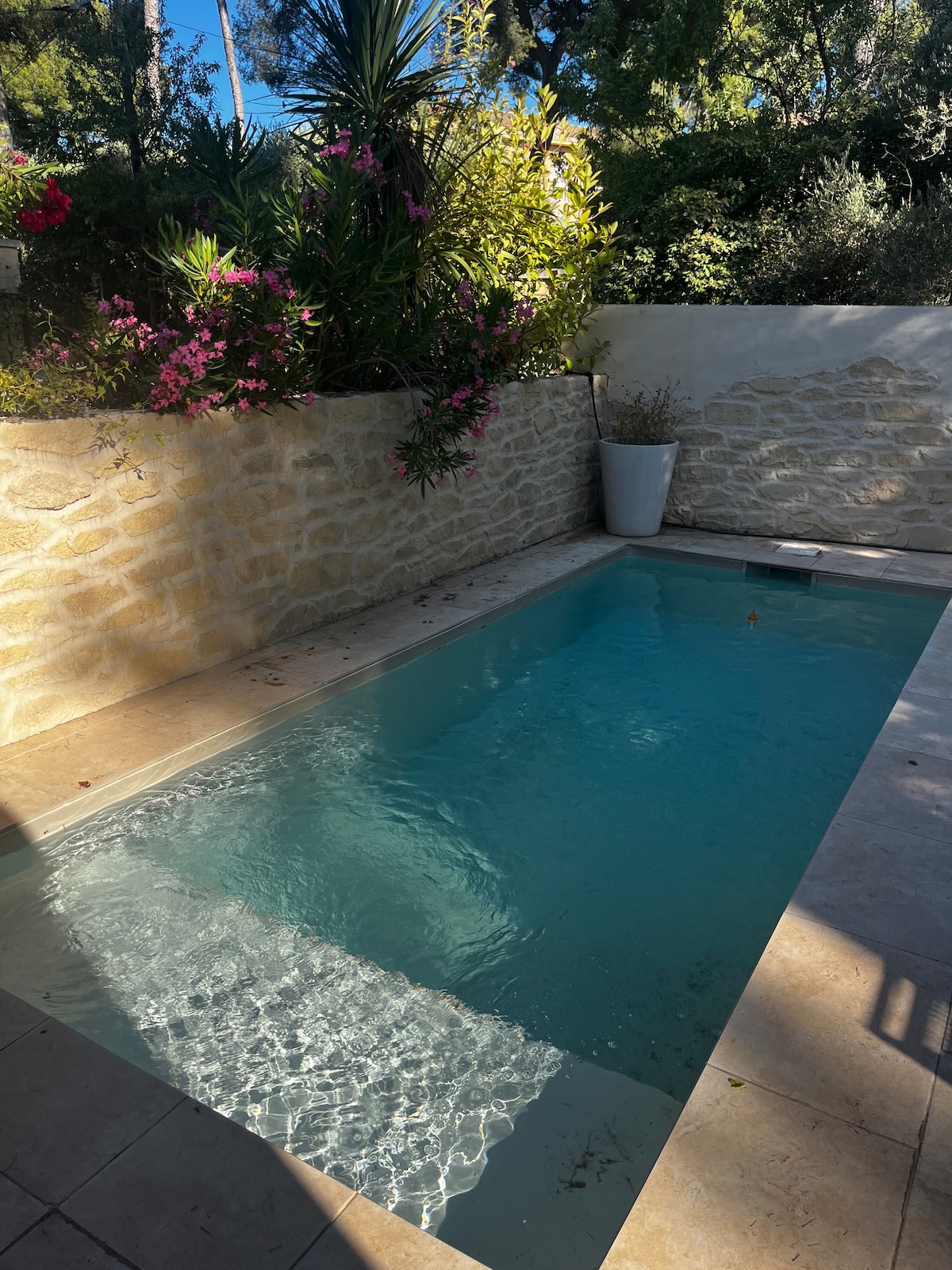 A small private pool is surrounded by natural stone walls and vibrant greenery. Bright pink flowers in pots add color against the neutral tones of the stone. Sunlight reflects on the water's surface, creating a serene and inviting atmosphere.