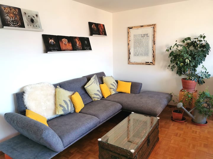 Sunny, Quite, Central. Kidsfriendly - Zúrich