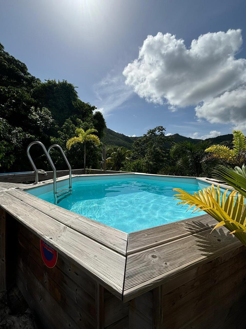 A wooden deck surrounds a clear, inviting pool reflecting the sky and surrounding greenery. Lush trees and tropical plants create a serene backdrop, while a gently sloping hill is visible in the distance under a partly cloudy sky.