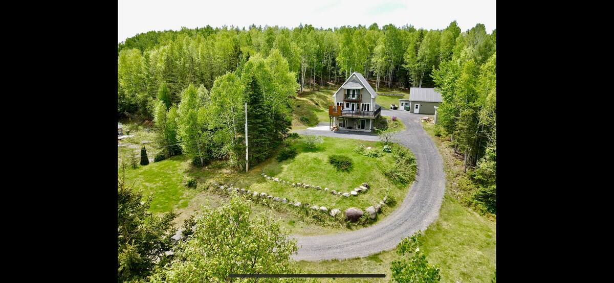 The chalet is surrounded by lush greenery and tall trees, with a winding gravel driveway leading to the entrance. A spacious lawn and natural stones are visible in the foreground, enhancing the serene outdoor setting. A separate building is observed in the background.
