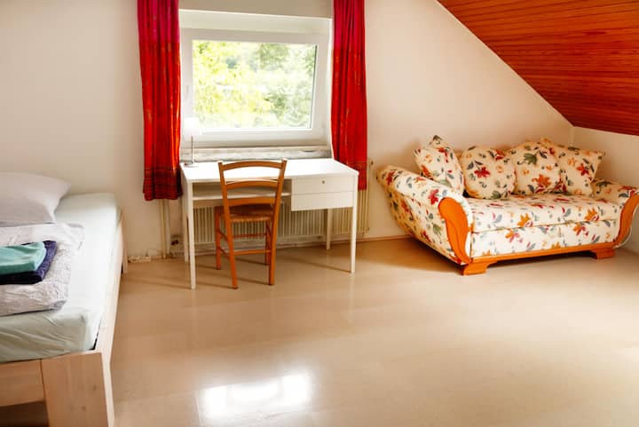 "Lake view room" - Large bedroom with 2 person bed, desk with lake view and pull-out couch.