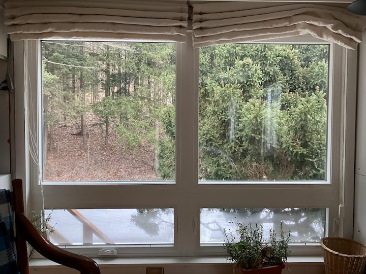 Tranquil Cozy Wellness Getaway - Ithaca