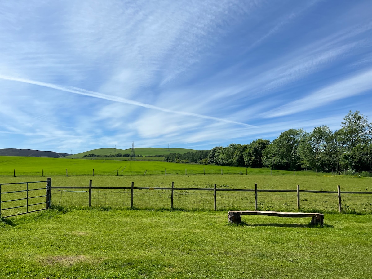 A wide-open grassy area is framed by a wooden fence, with a rustic bench positioned on the left. Lush green fields extend to the horizon, while trees are visible in the background under a clear blue sky accented by wispy clouds.