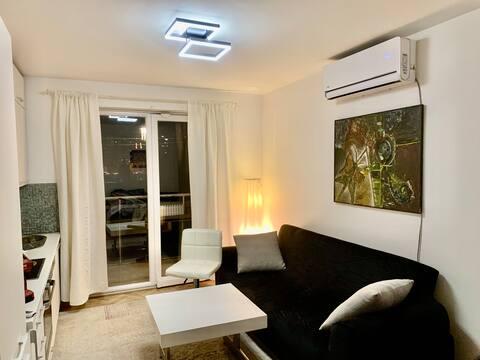 Pristine top home apartment
