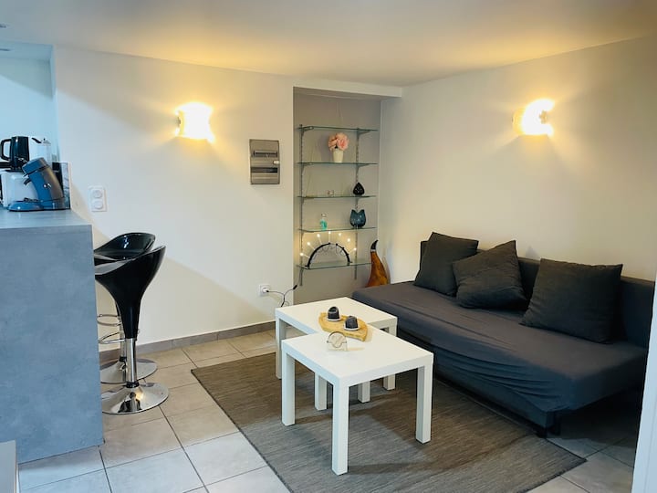 Studio Cosy & Calme + Option Piscine/spa/jacuzzi - Juvignac