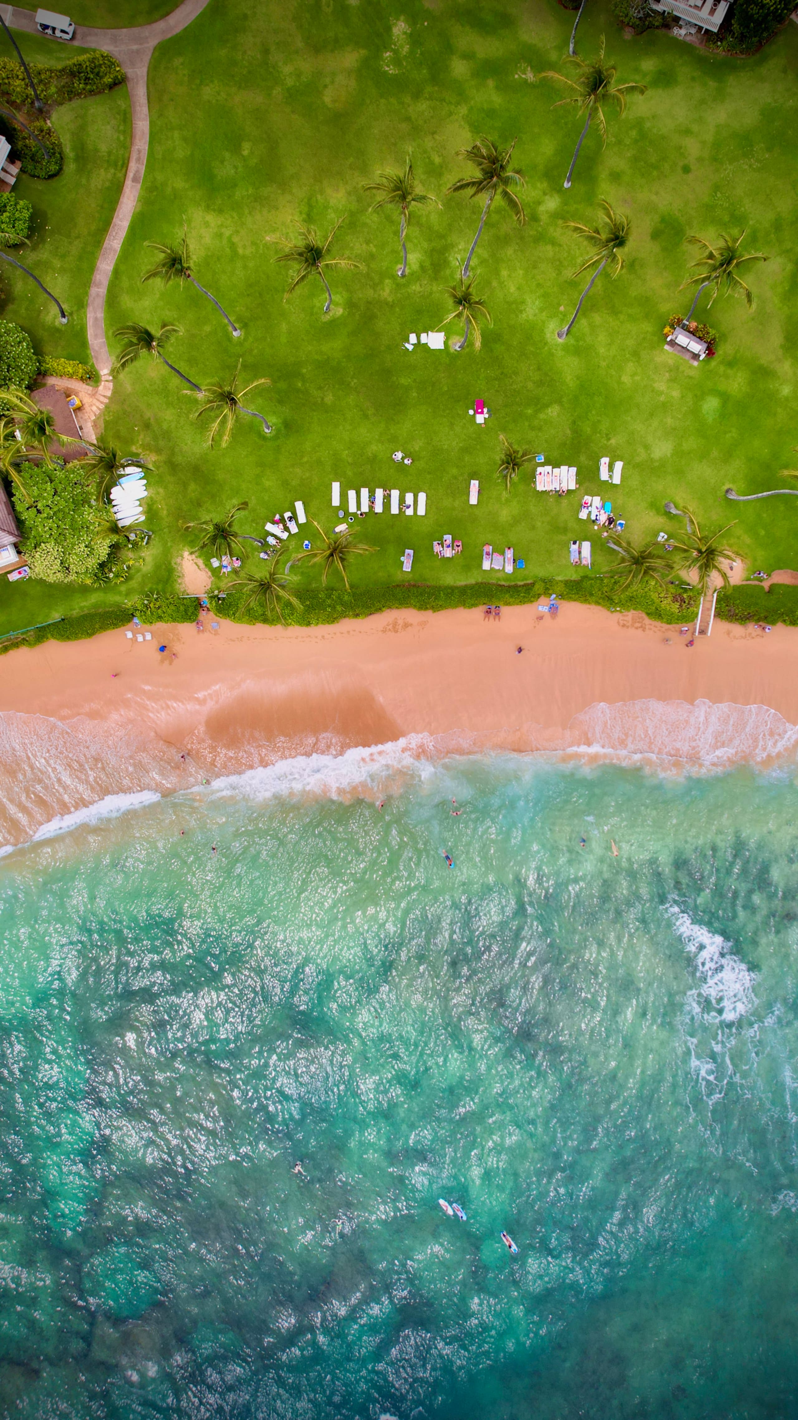 Tropical Paradise, Ocean views, Kiahuna - Photo 41