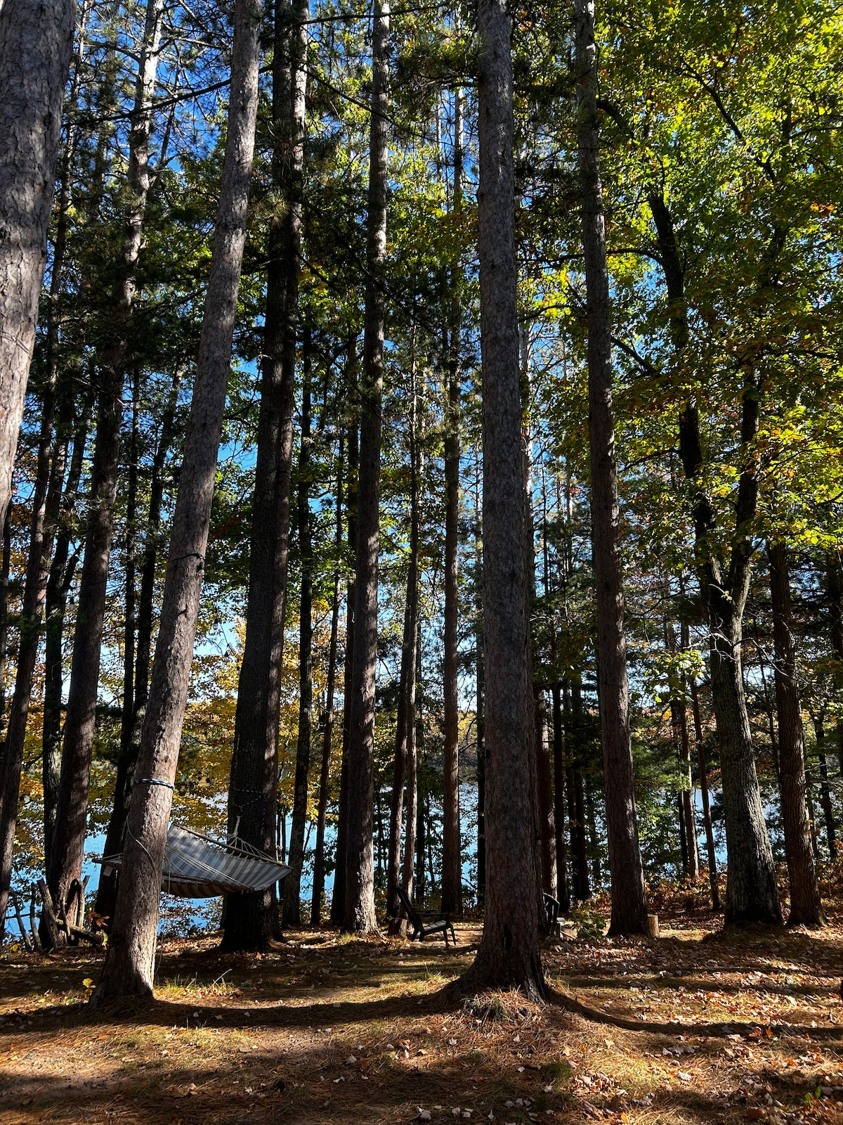 ◆YURT◆ Poiv_S_4 color [YB244] Yurt Rentals | Wagon Trail Campground