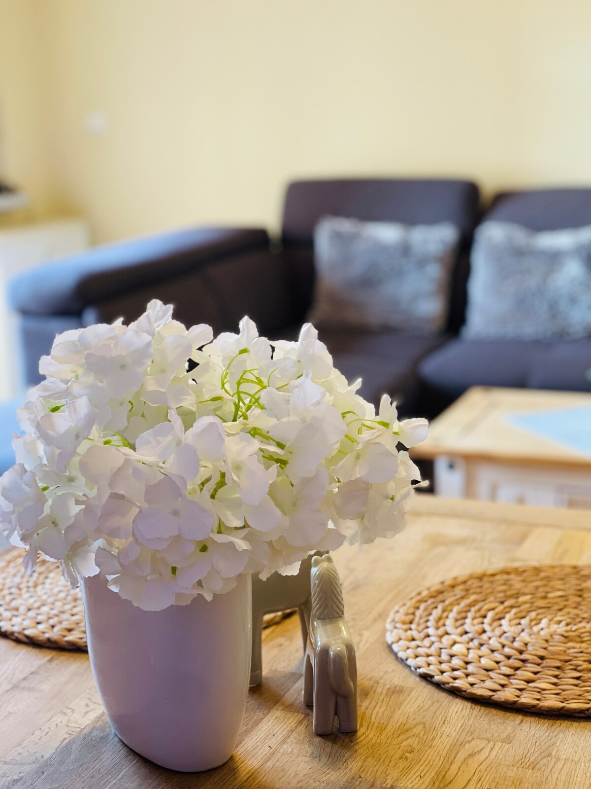 Successful Airbnb property: Vacation home with terrace at Lake Schloon in Heringsdorf