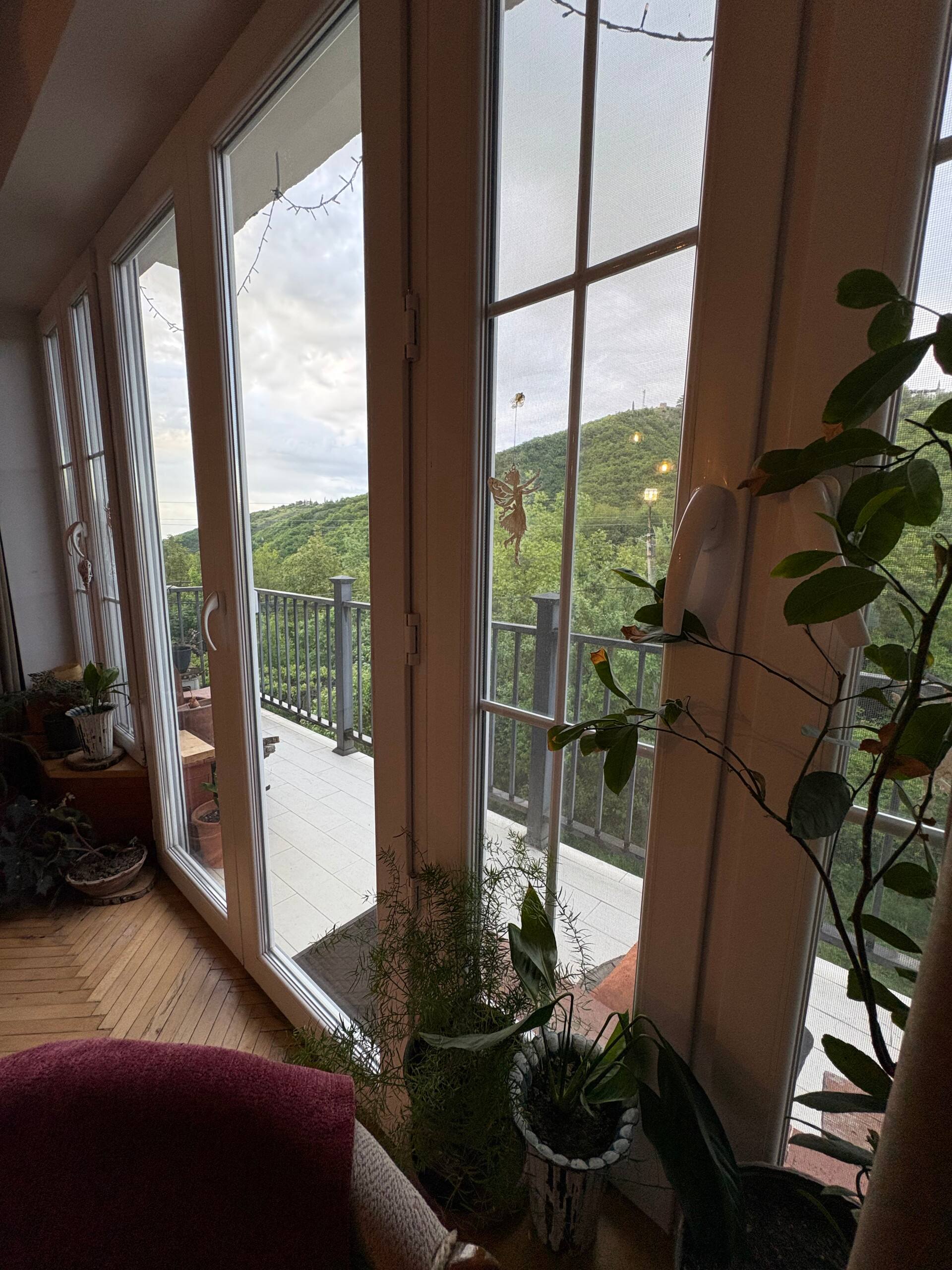The nature — Foto 5