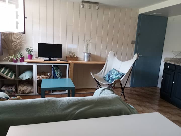 Appart 3 Pers En Sous Sol Avec Extérieur Et Clim - Cholet